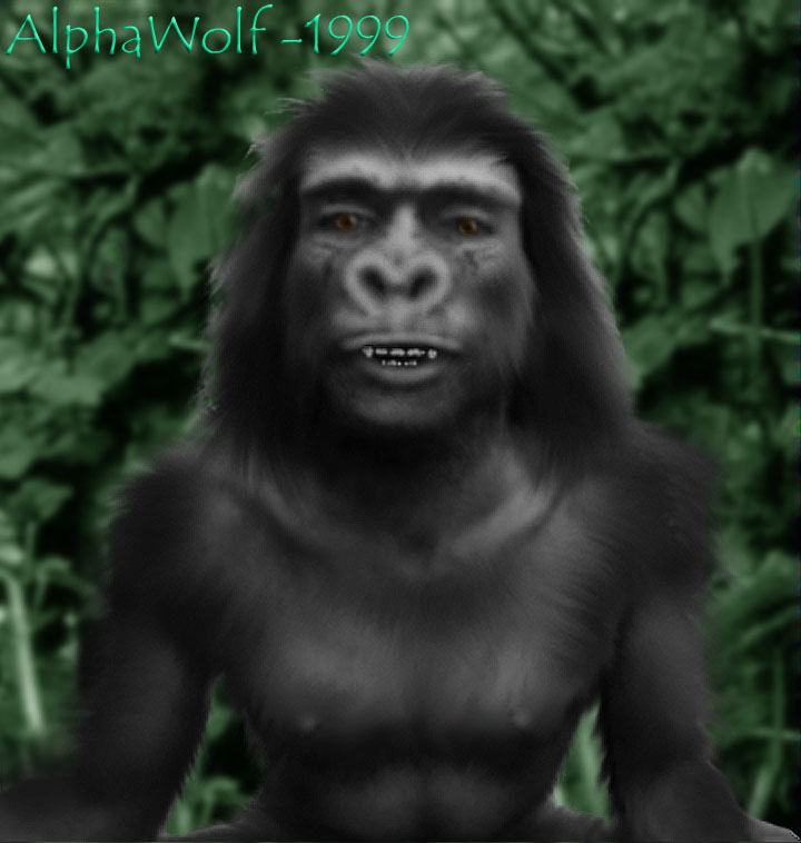 aw-gorilla by AlphaWolf