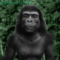 aw-gorilla by AlphaWolf
