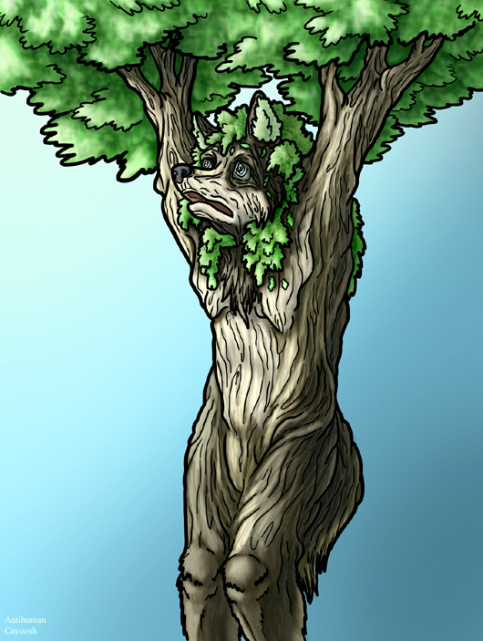 Cayoosh Tree Curse by Antihuman