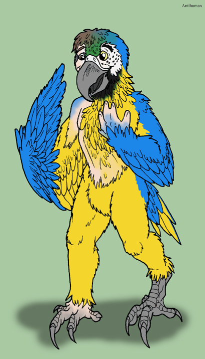 macaw by Antihuman
