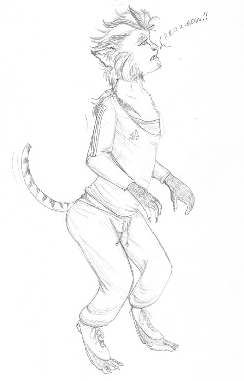 Catssm by Arania