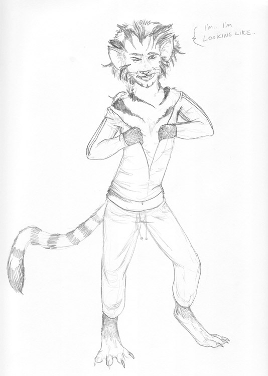 Catssm by Arania