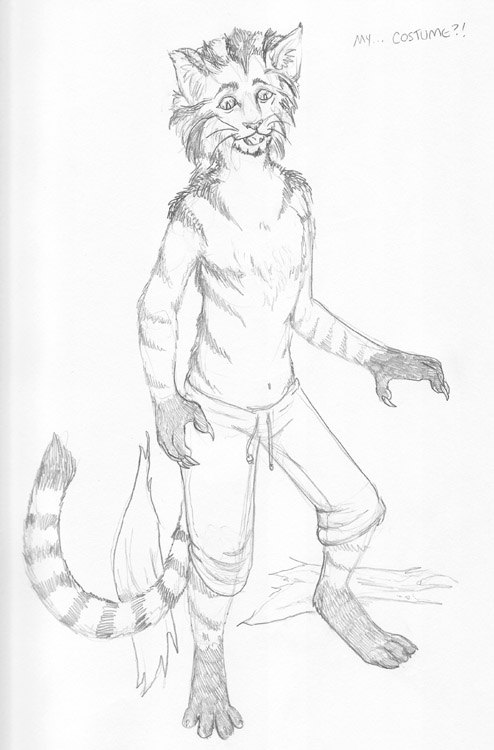 Catssm by Arania