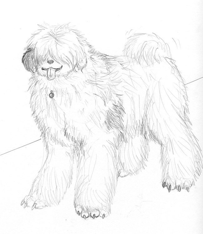 bigdogsm by Arania