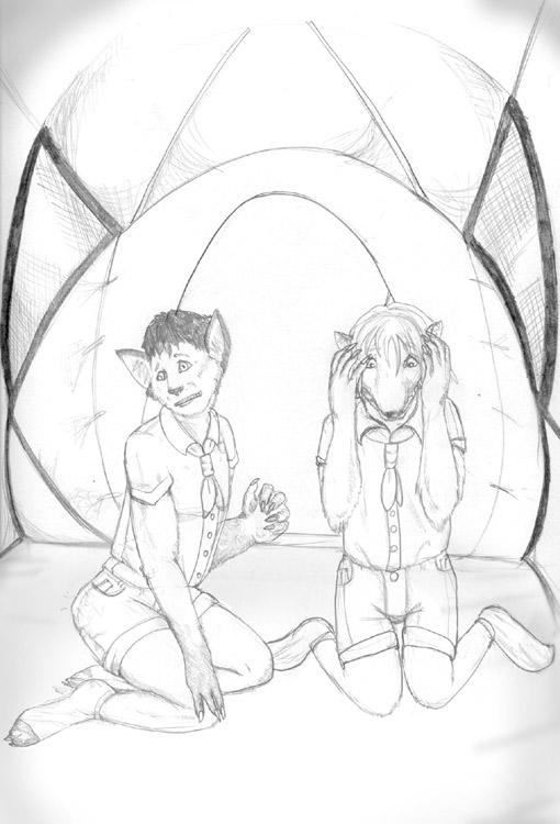 camperfoxessm by Arania