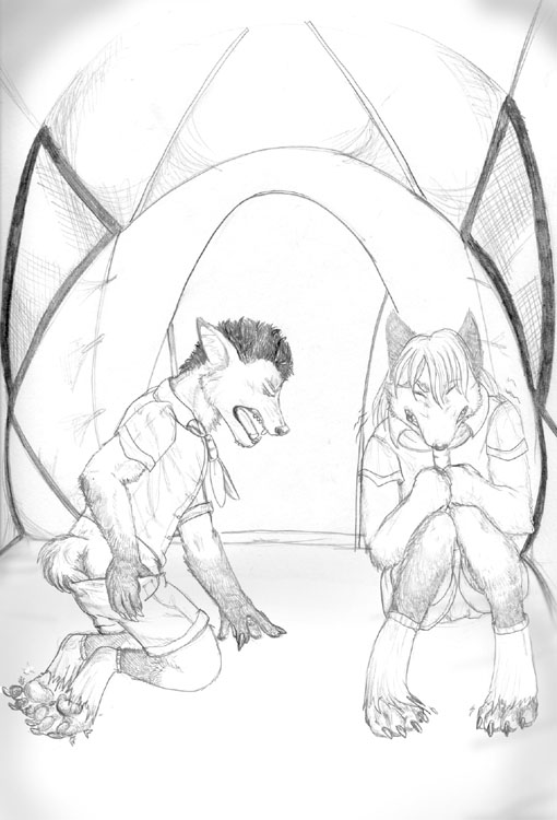 camperfoxessm by Arania