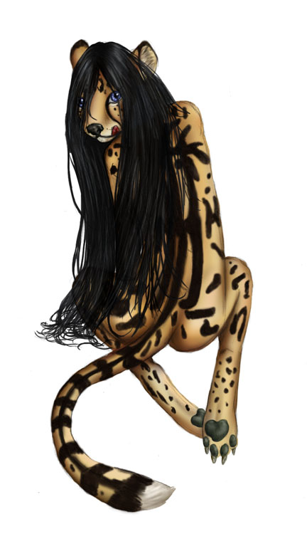 colche by Arania