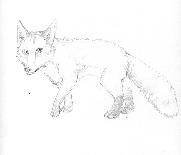 foxkitsunesm by Arania