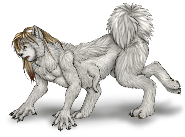 jordan by Arania