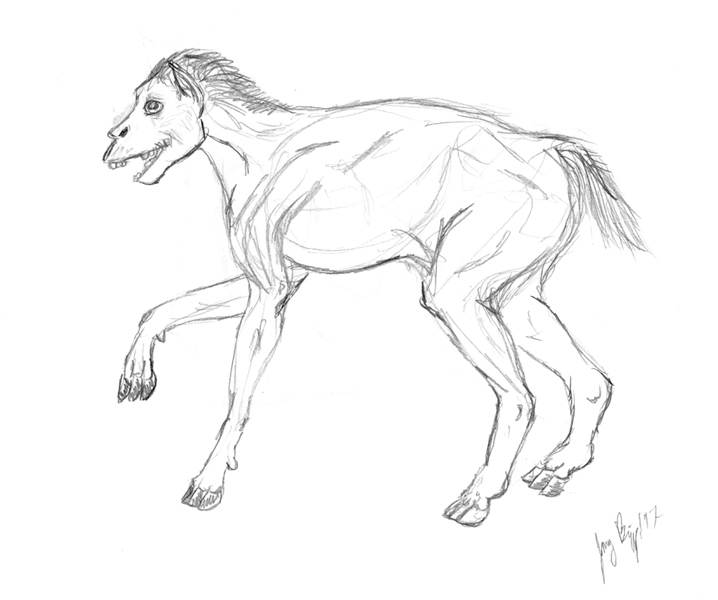 olideequine by Arania