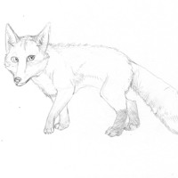 Sequence Image 1