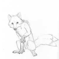 Sequence Image 2