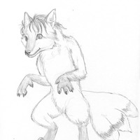 Sequence Image 3