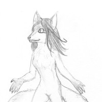 Sequence Image 5