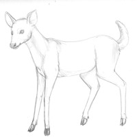Sequence Image 1