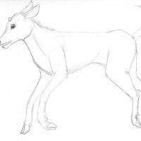 Sequence Image 2
