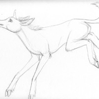 Sequence Image 3