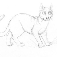 Sequence Image 1