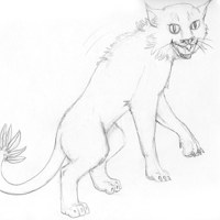 Sequence Image 2