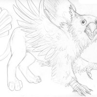 Sequence Image 5