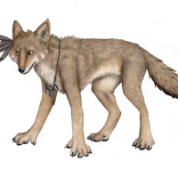 Sequence Image 5