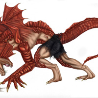 Sequence Image 4