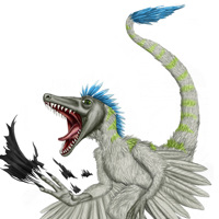 Sequence Image 4