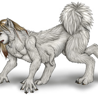 Sequence Image 4