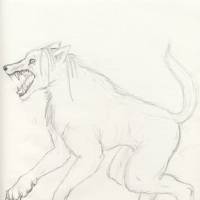 Sequence Image 7