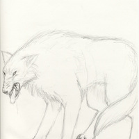 Sequence Image 8