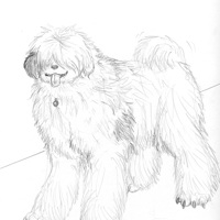 Sequence Image 10