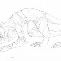 Sequence Image 6