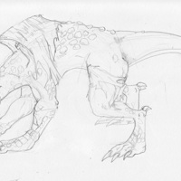 Sequence Image 7