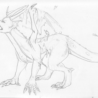 Sequence Image 8