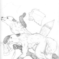 Sequence Image 10