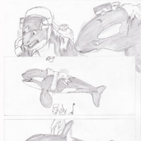 Sequence Image 3