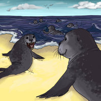 Sequence Image 11