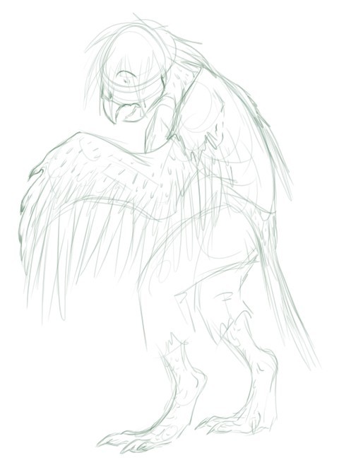 bird by Birvan