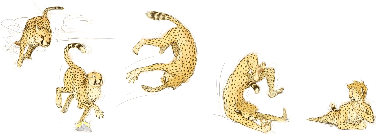 Cheetah TF Commission by Birvan
