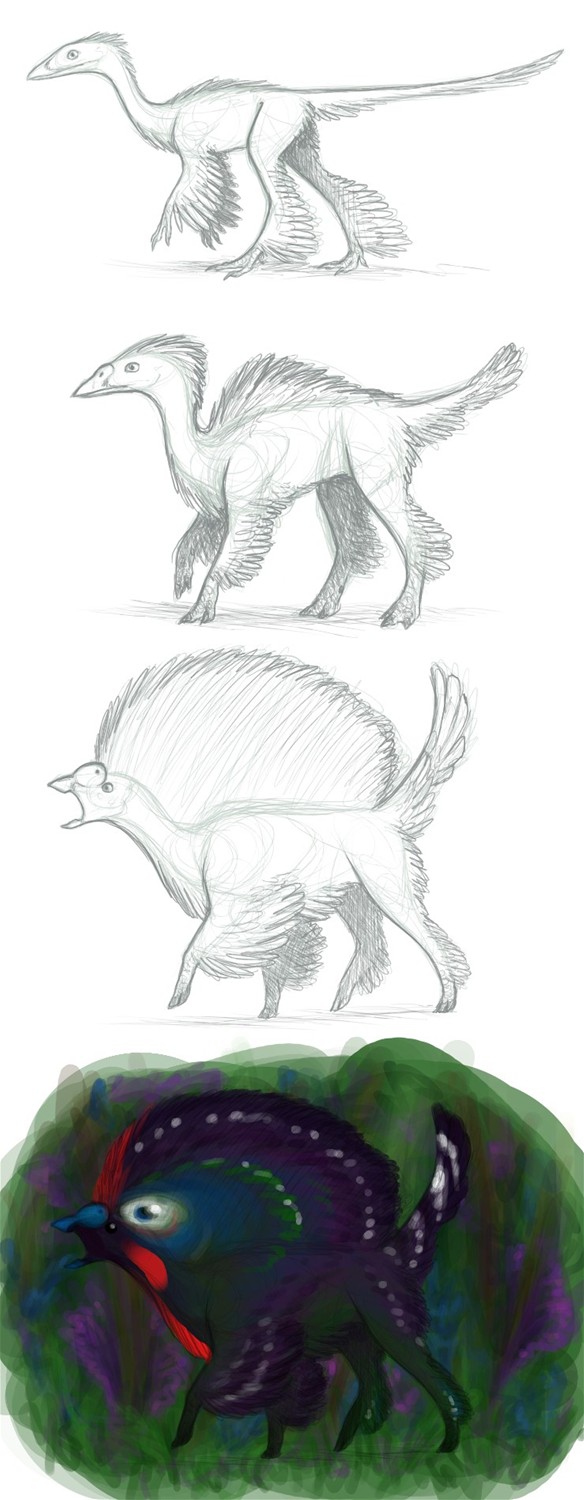 'Bird Head' Evolution by Birvan