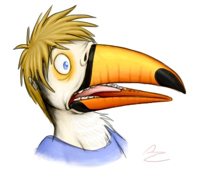 toucan by Birvan