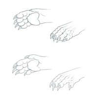 Hind Paw TF by Birvan