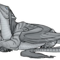 Sequence Image 7