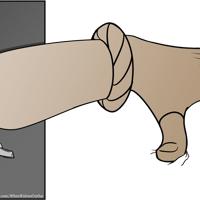Sequence Image 2