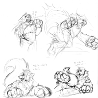 Sequence Image 4