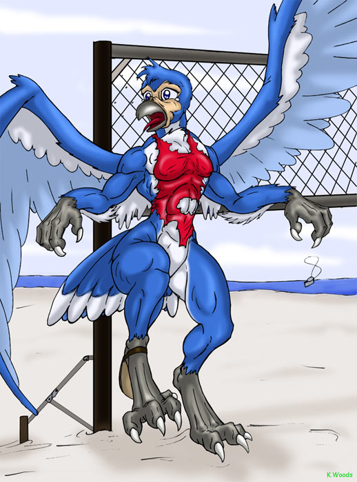 kw-beachbird-cl by BlackRat