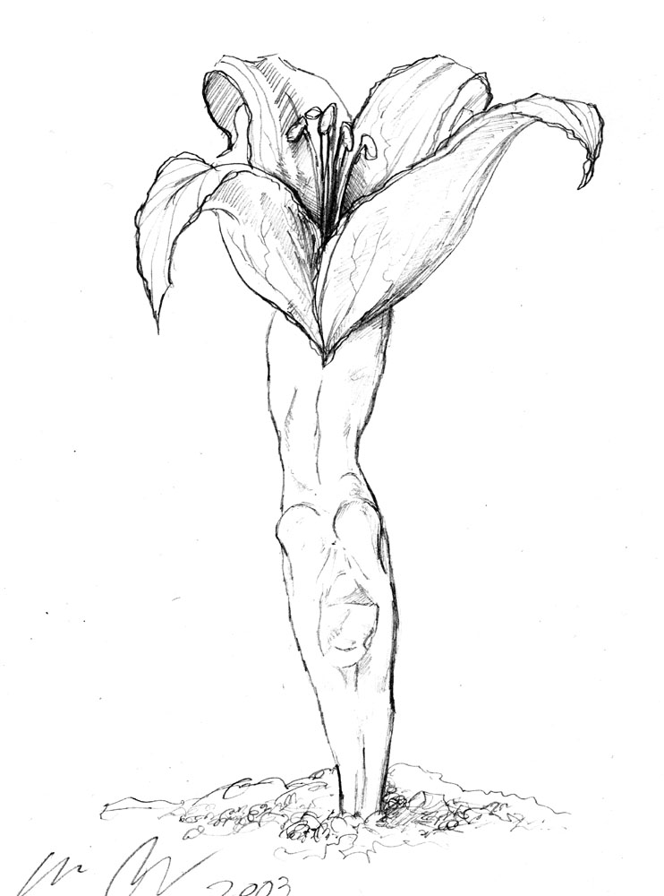 flower by Carillon