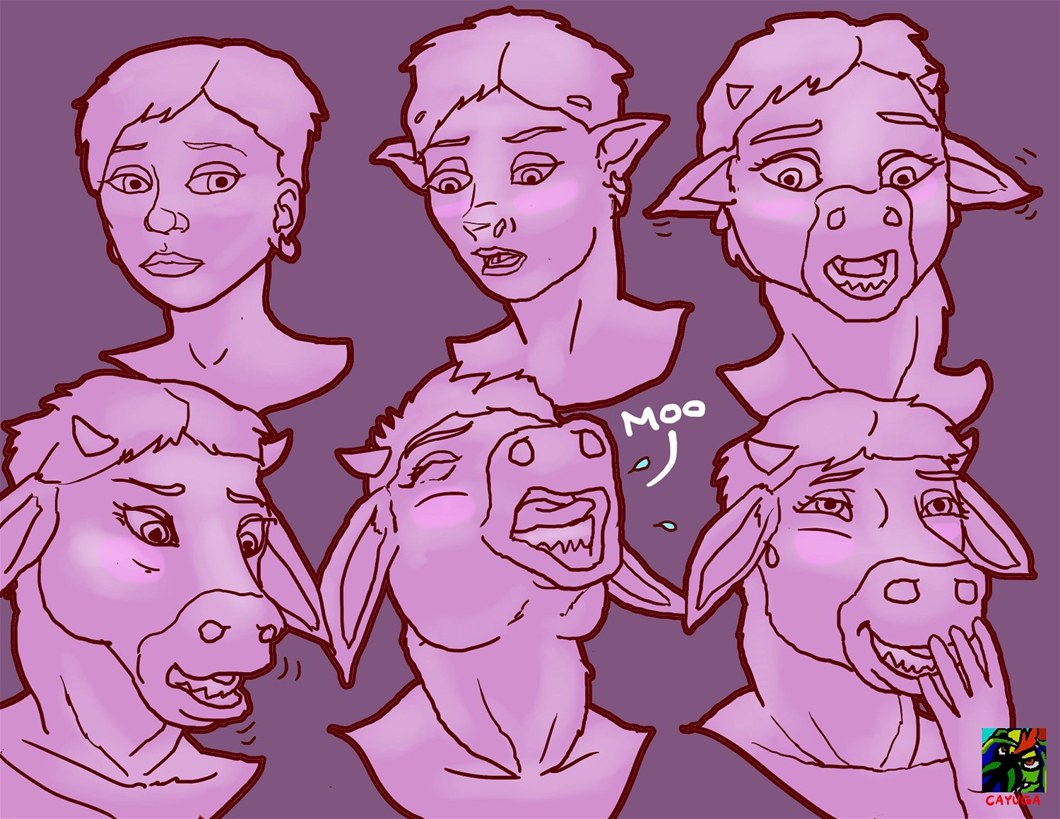 Moo Cow by Cayuga