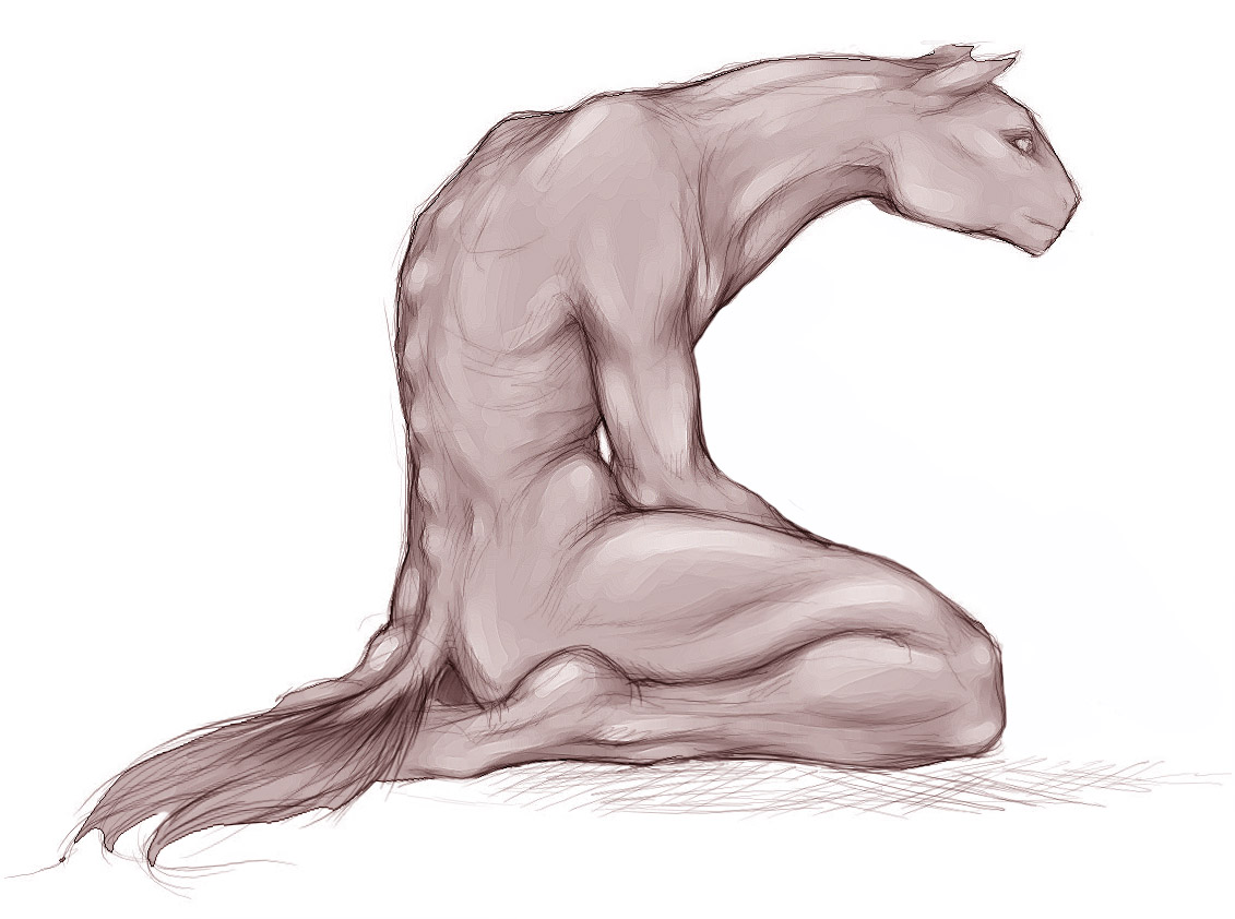 horsetf by Childofdune