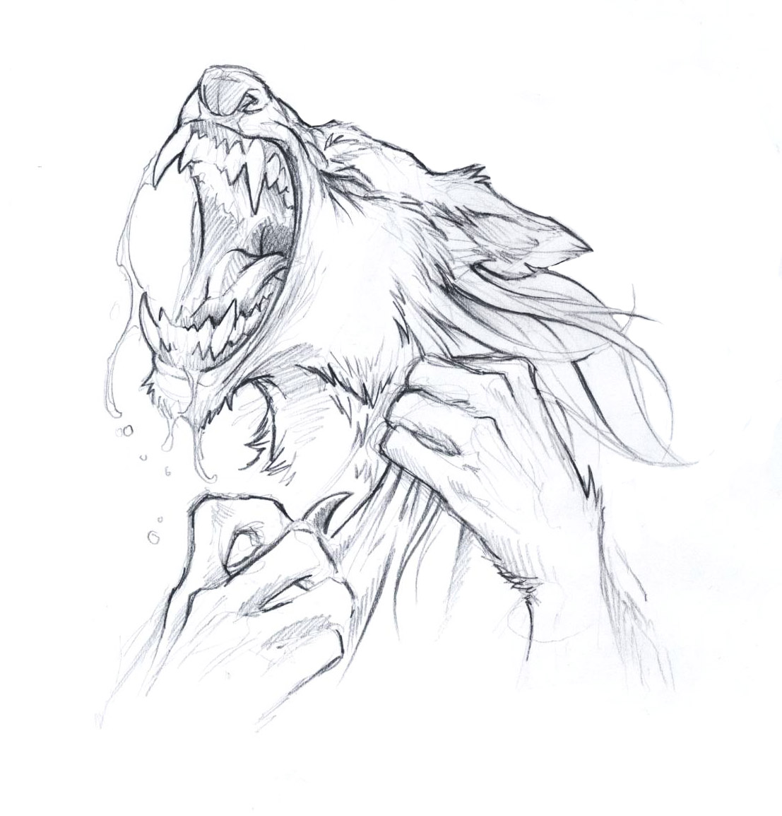 wolf by Childofdune